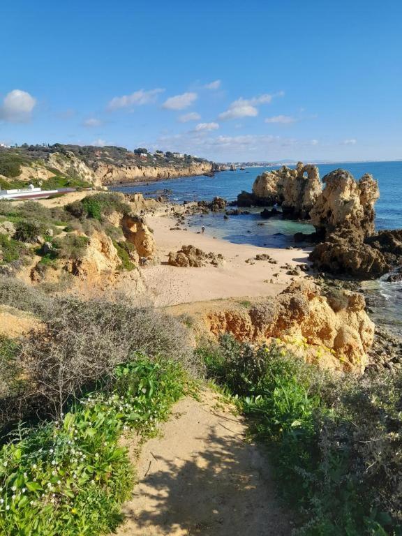 Estudio Puertorico T0 Em Albufeira Gale 外观 照片